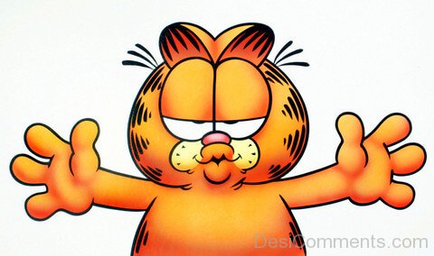 Garfield – Nice Image