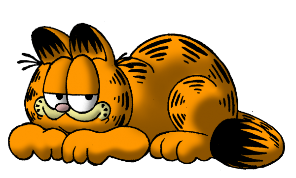Garfield – Nice Photo