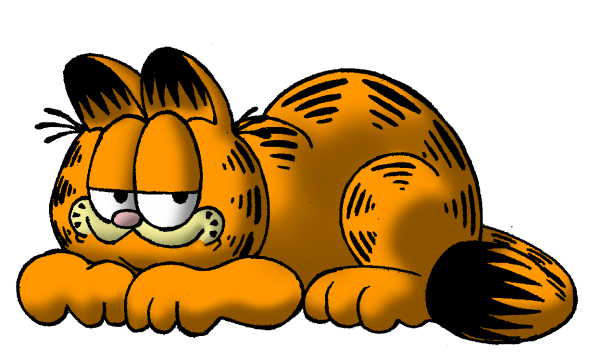 Garfield - Nice Photo