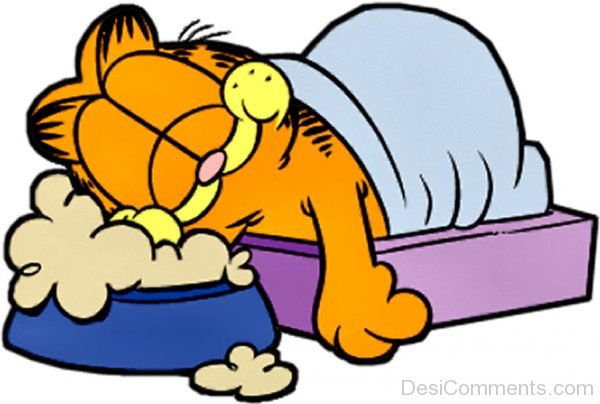Garfield Sleeping Image