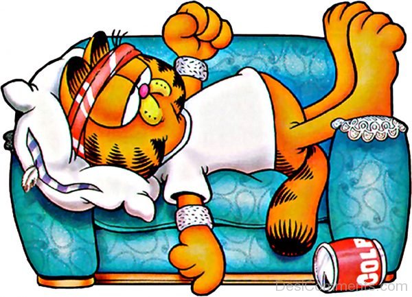 Garfield Sleeping On Sofa