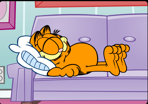 Garfield Sleeping Pic