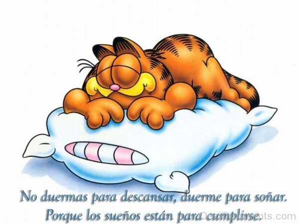 Garfield Sleeping Picture