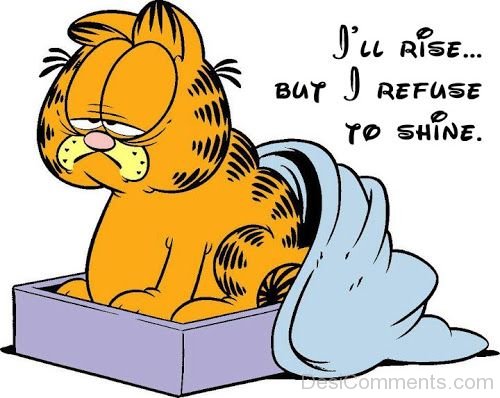Garfield Wake Up