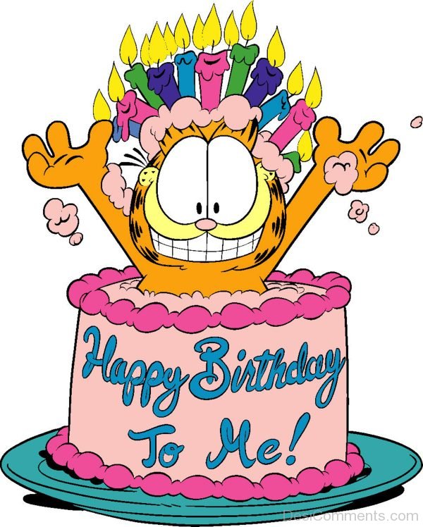Garfield With Birthday Cake