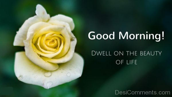Good Morning Dwell On The Beauty Of life
