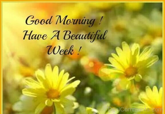 Good Morning Have A Beautiful Week