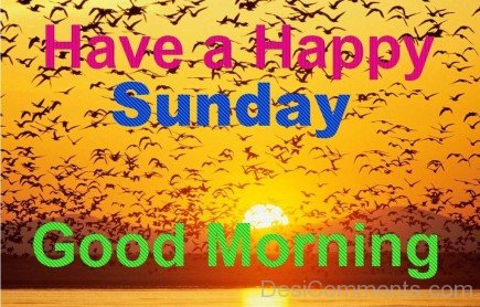Good Morning Have A Happy Sunday