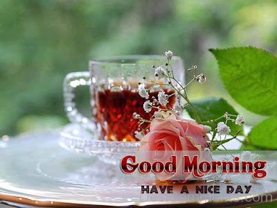 Good Morning Have A Nice Day