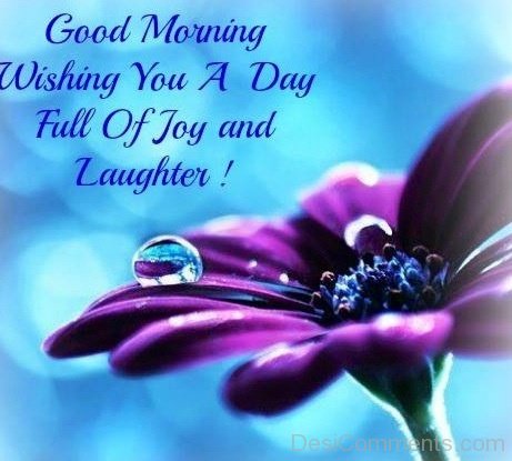 Good Morning Wishing You A Day Full Of Joy