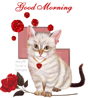 Cute Cat Good Morning Graphic - DesiComments.com