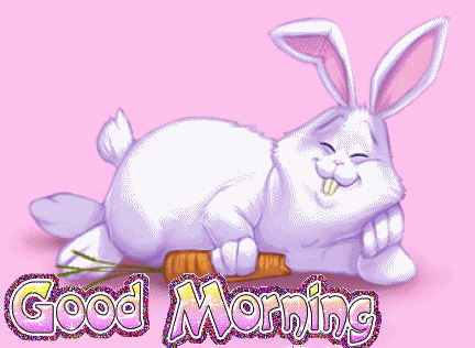 Good Morning With Cute Rabbit