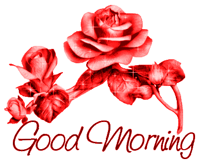 Good Morning With Roses