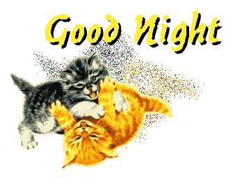 Good Night Shinning Cat Glitter Image