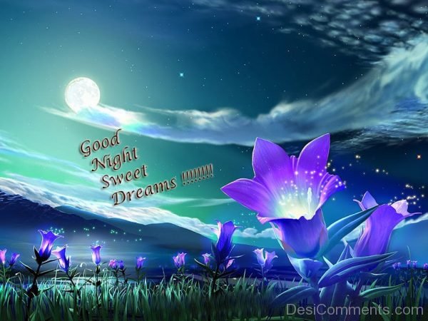 Good Night Sweet Dreams !!
