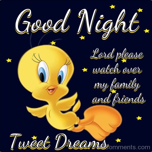 Good Night – Tweet Dreams