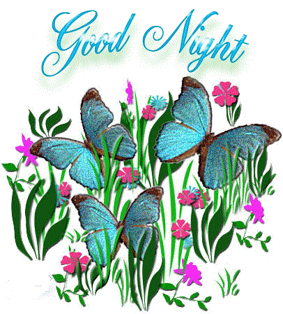 Good Night With Butterflies