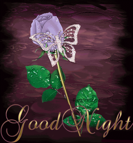 Good Night With Butterfly