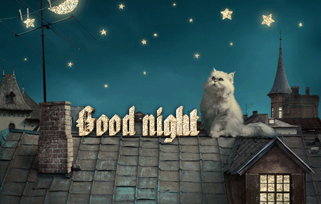 Good Night With Cat - DesiComments.com