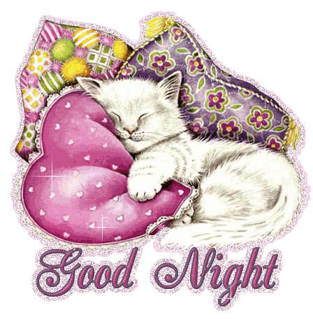 Cute Cat Saying Good Night - DesiComments.com
