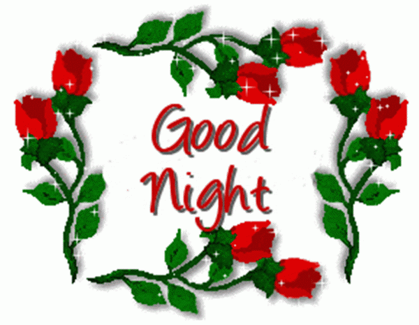 Good Night With Red Roses