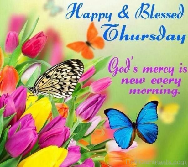 Happy & Blessed Thursday