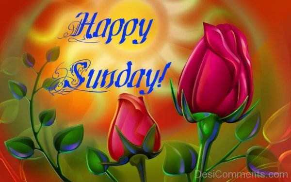 Happy Sunday