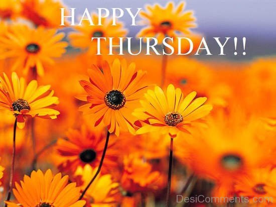 Happy Thursday !!