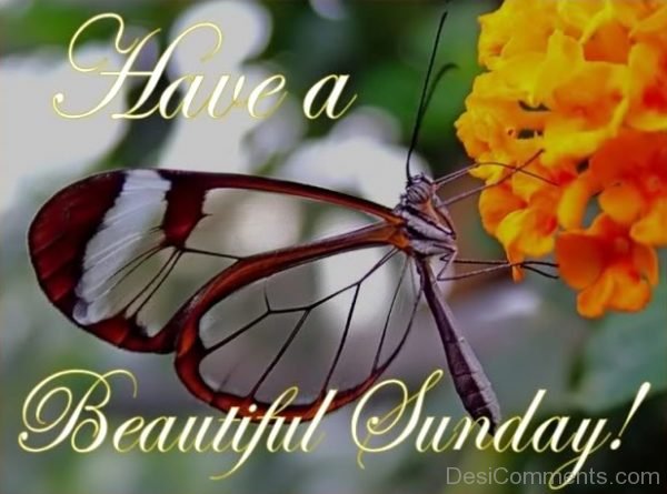 Have A Beautiful Sunday