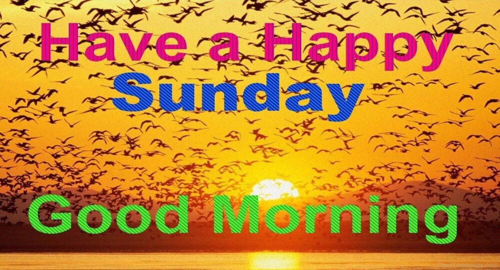 Have A Happy Sunday Good Morning - DesiComments.com