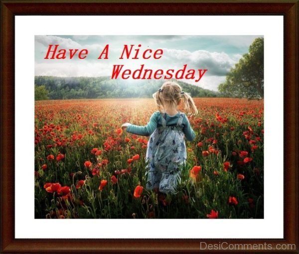 Have A Nice Wednesday