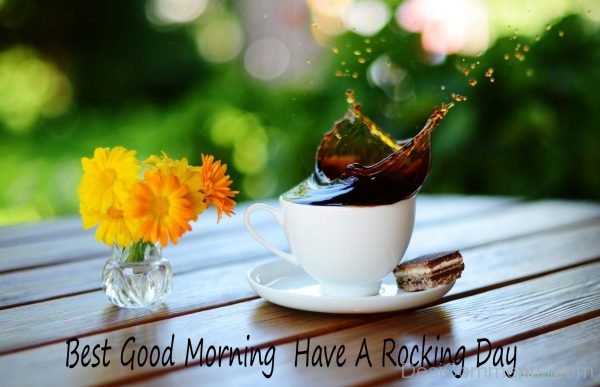 Have A Rocking Day