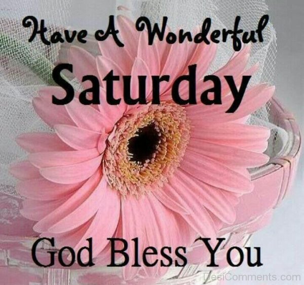 Have A Wonderful Saturday