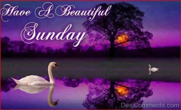 Have & Beautiful Sunday