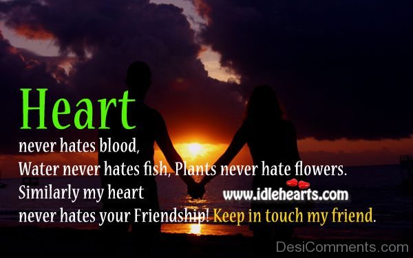 Heart Never Hates Blood