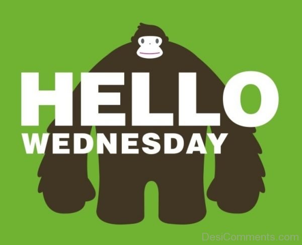 Hello Wednesday