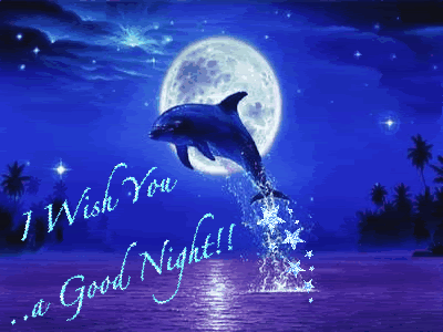 I Wish You A Good Night