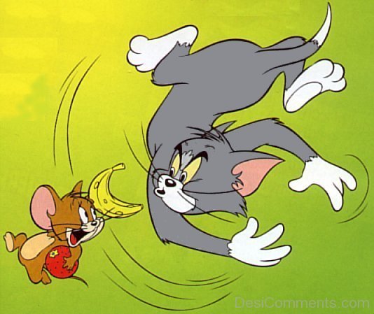 100 Tom And Jerry 4k Wallpapers  Wallpaperscom