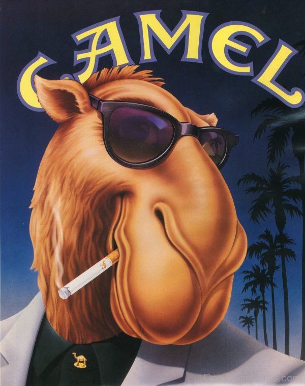 Joe Camel