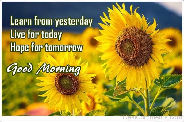 Learn From Yesterday Good Morning