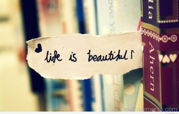 Life Is Beautiful !