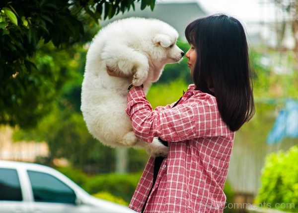 Lovely Pet Dog