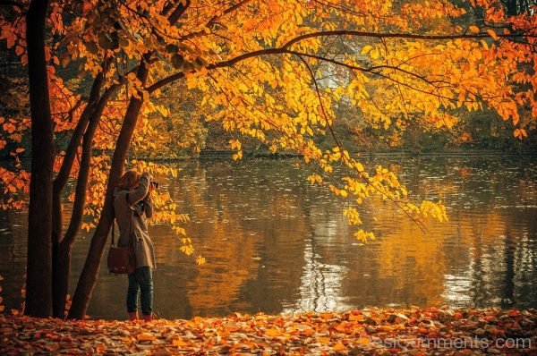 Lovely Photo Of Autumn