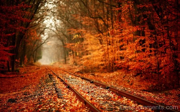 Nice Autumn Pic