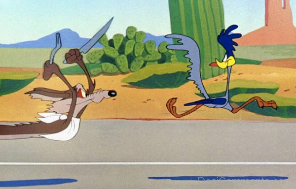 Nice Pic Of Road Runner