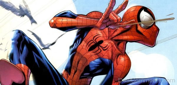 Nice Pic Of Spiderman