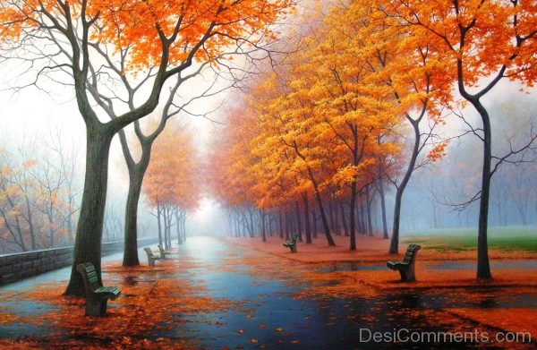 Nice Picture Of Autumn