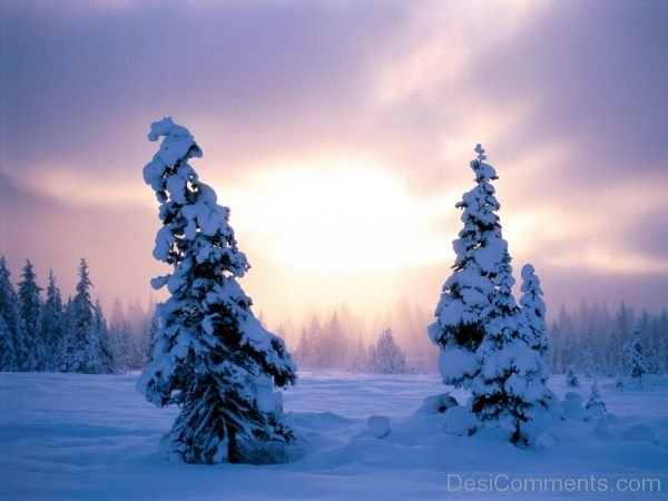 Nice Picture Of Winter