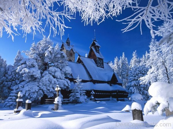 Nice Winter Image !