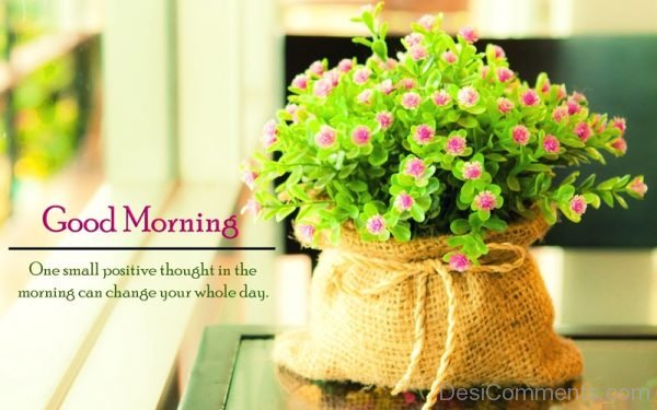 One Small Positive Thought In The Morning Can Change Your Whole Day